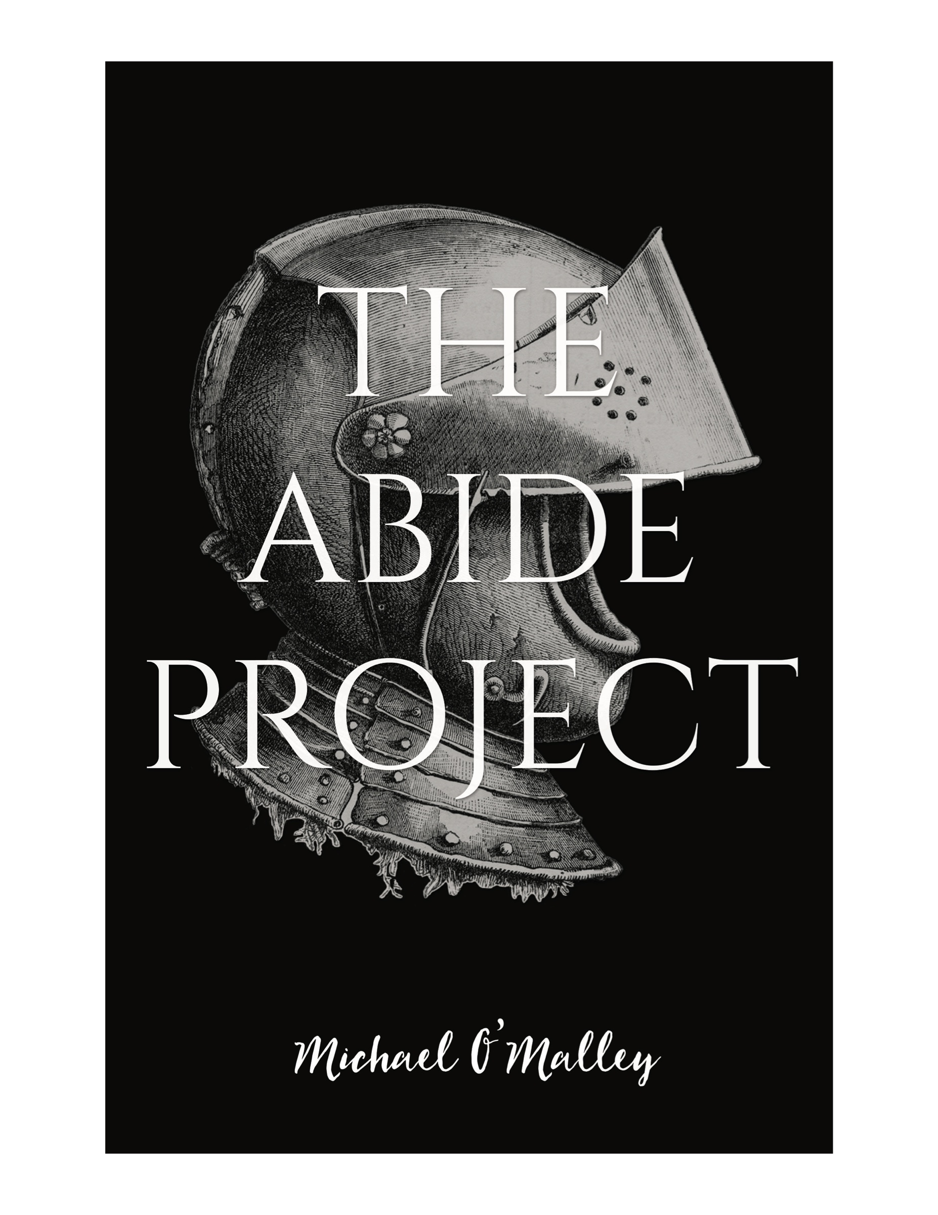 The Abide Project: 90-Day Devotional cover